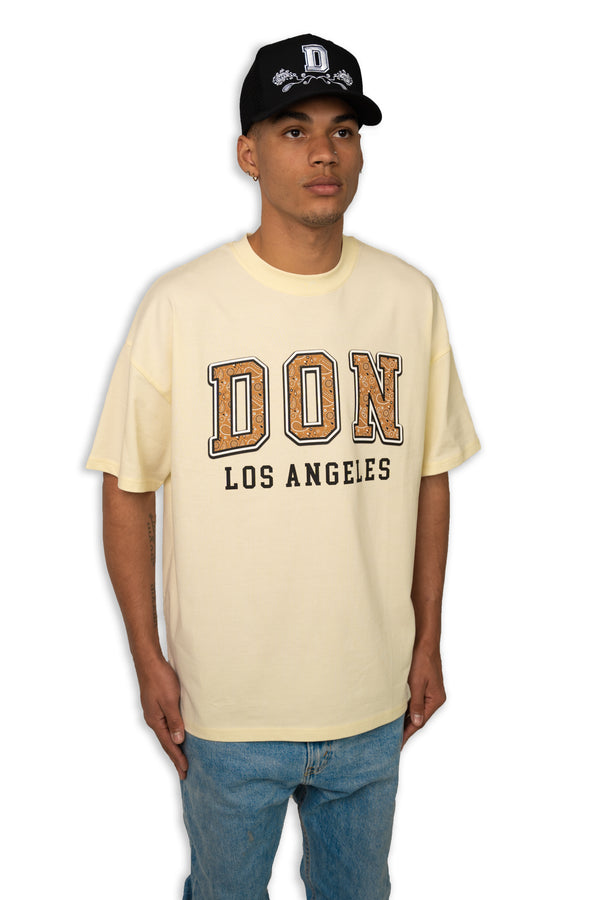 Don Lugo Paisley Shirt
